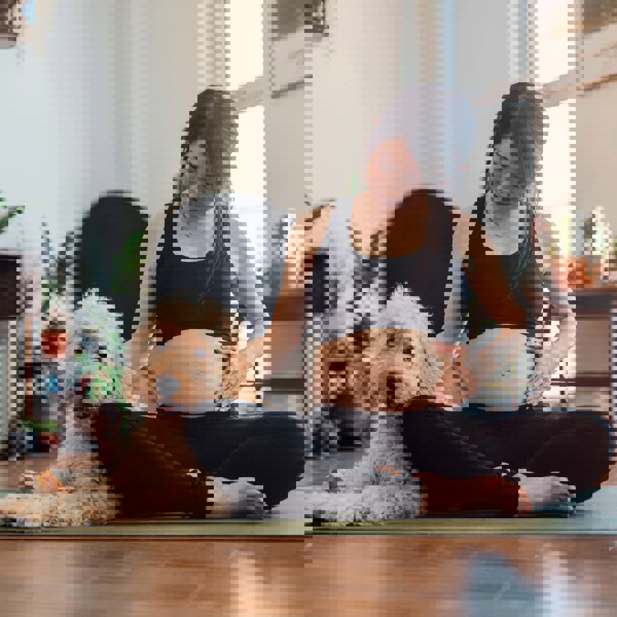 Pregnant With Dog 1306195932 Copy